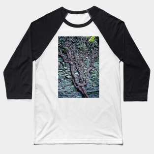 Old Tree in wall Baseball T-Shirt